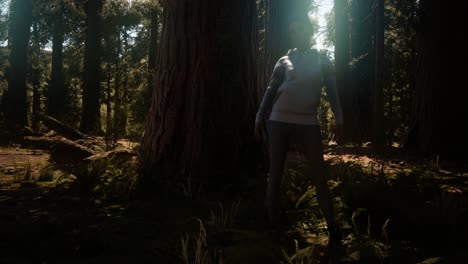 Mujer-En-El-Parque-Nacional-De-Yosimite-Cerca-De-Sequoia